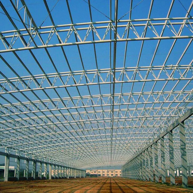 Long Span Space Frame Steel Barrel Vault Roof Architectural Structure Building Design Arched Roof Truss steel structure frame