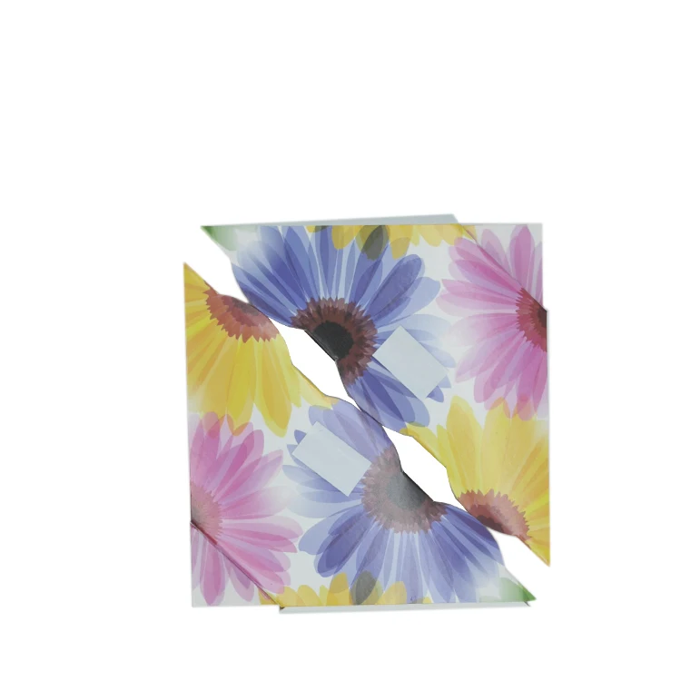 professional flea trap fly environmental house fly trap fly trap commercial