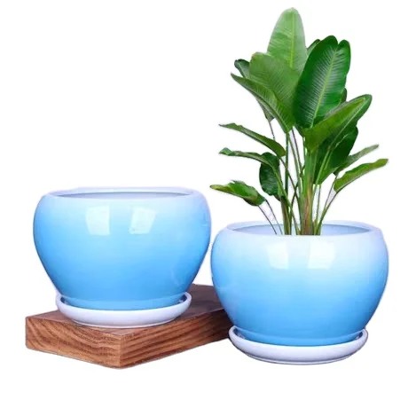 
European flowerpot ceramic large clearance wholesale simple green luo orchid potted custom made in China 