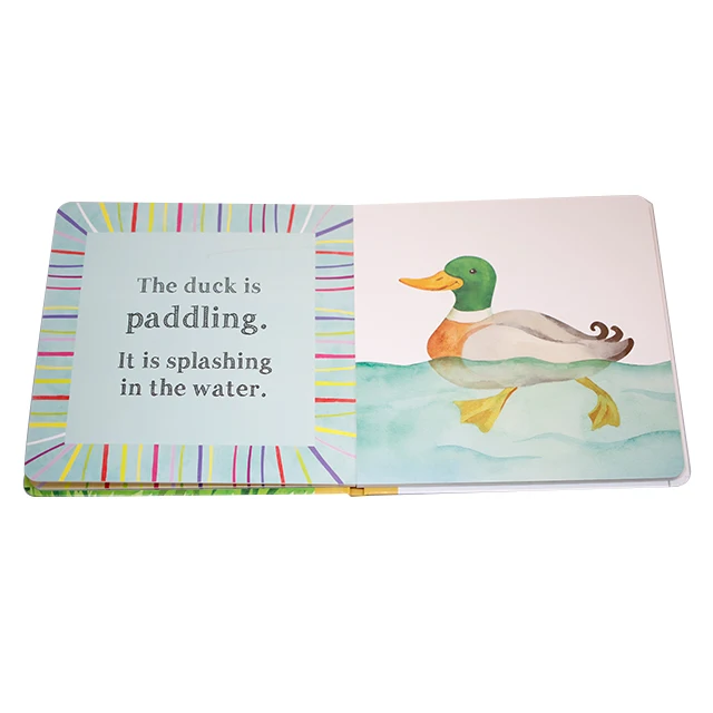 
Special counter Children board book set 