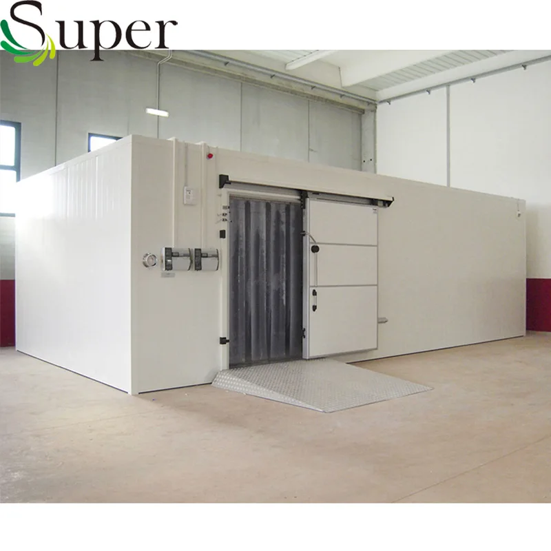 
Used Blast Freezer Fish Meat Chicken Cold Room for Sale 