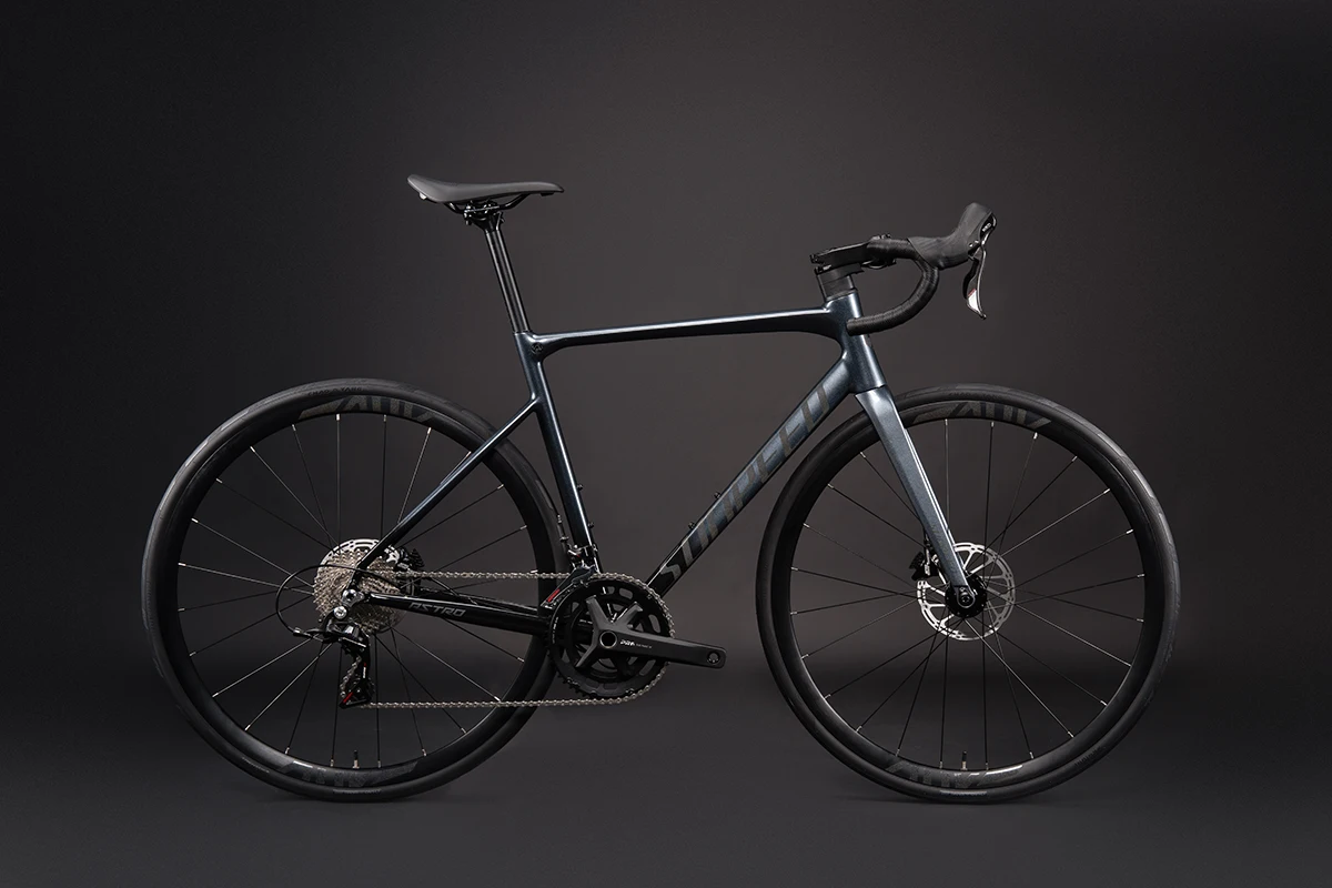 SUNPEED ASTRO 22 speed Road bike