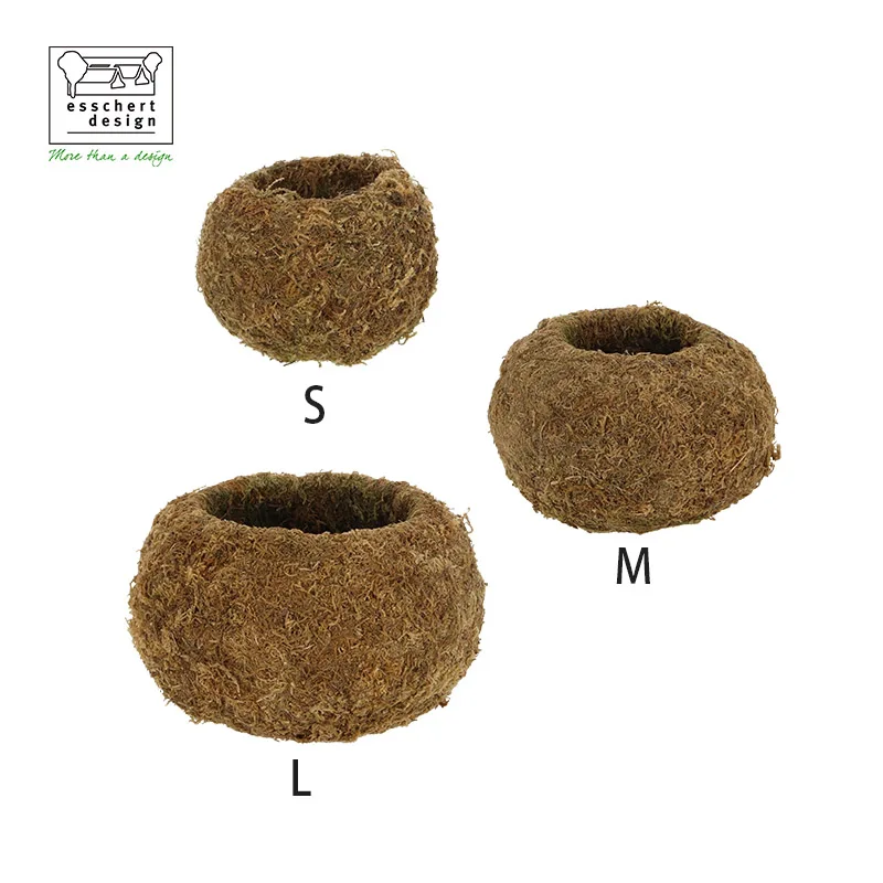 JP004 New Natural Color Moss Kokedama Ball Unique Small Flower Plant Pots for Indoor