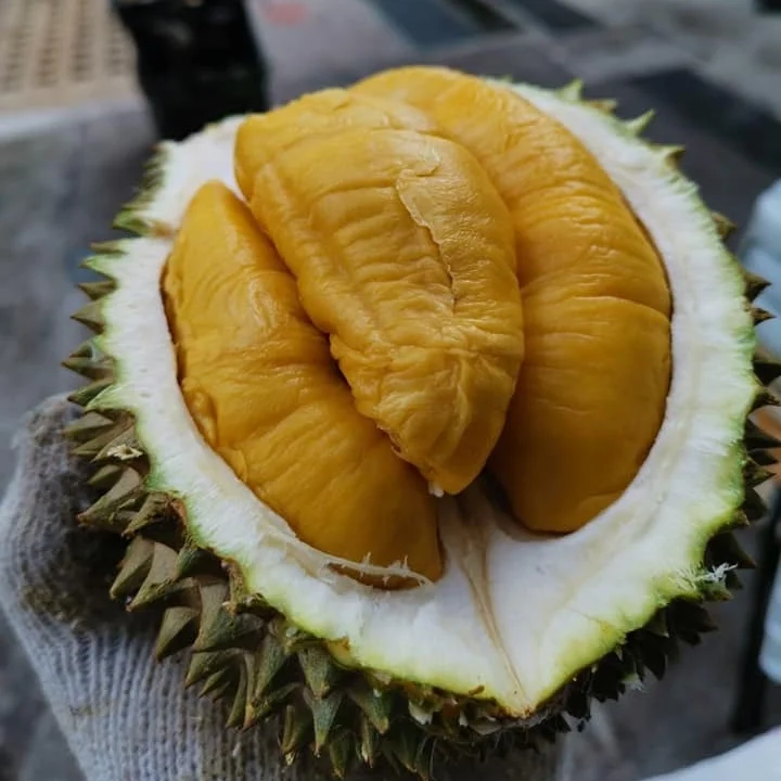  Замороженные цельные дурианские фрукты премиум-класса во Вьетнаме