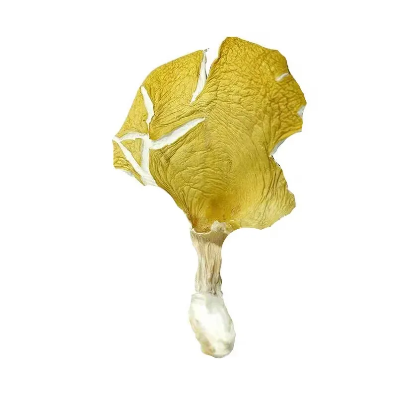 Detan Wholesale price dried chanterelle mushrooms in bulk with high quality