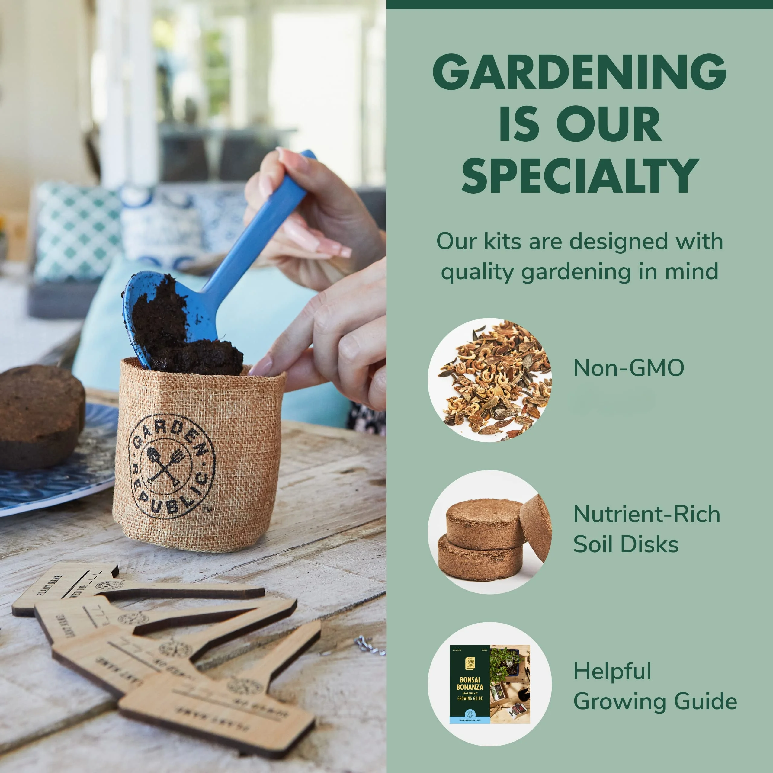 Hot Sale Home And Garden Products Gift Diy Ornamental Indoor Live Plant Natural Bonsai Starter Kit