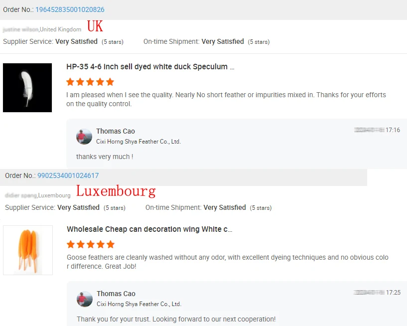 DIY Wholesale plume hot selling points bird black pink white blue carnival Cheap Wing feathers goose feather for sale
