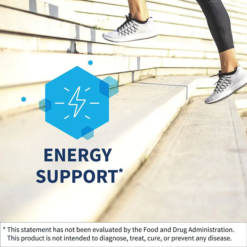 Highly absorbable vegetarian capsules support normal detoxification and hypoallergenic acetyl-L-carnitine capsules