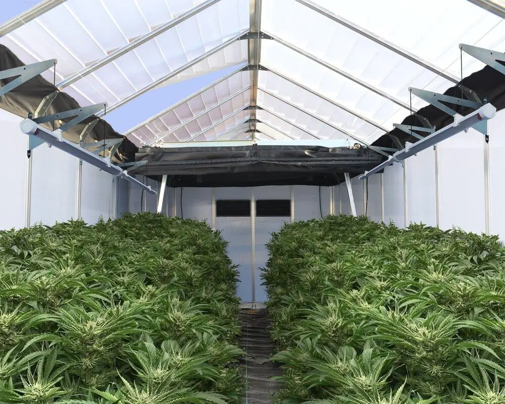 30 футов x100 футов CNB конопляная пенка CA CO OK или TX нм коммерческий легкий лишение поликарбонатный парниковый комплект готов к отправке система затемнения