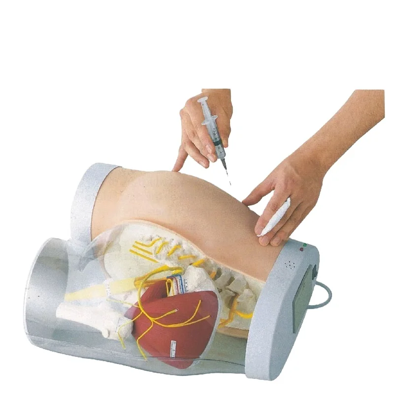 Medical  Human Buttocks Intramuscular Injection & Contrastive Training Model