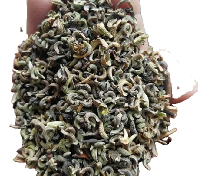 Высокая драгоценность для посадки, легкое культивирование, китайские высококачественные семена календулы лекарственной