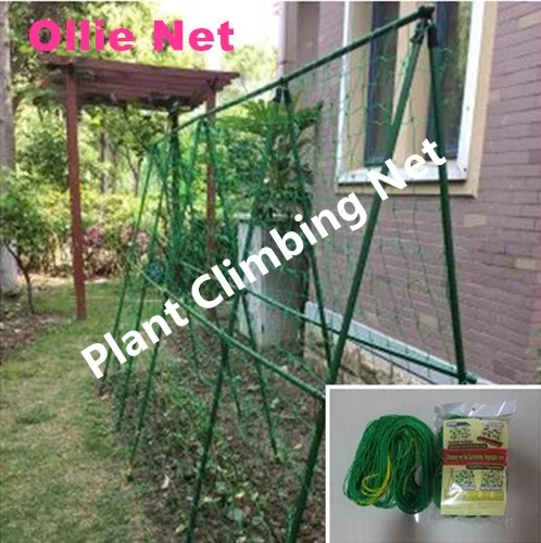 Plant climbing net.Plant supporting net