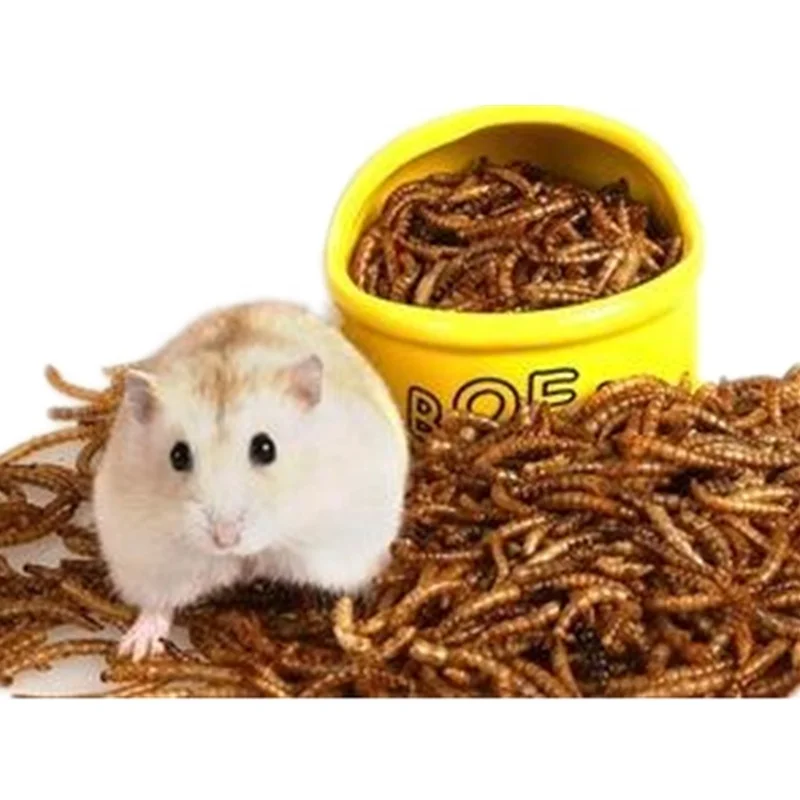 Wild bird dried mealworms fighting cock feed dried mealworm cricket flour for sale
