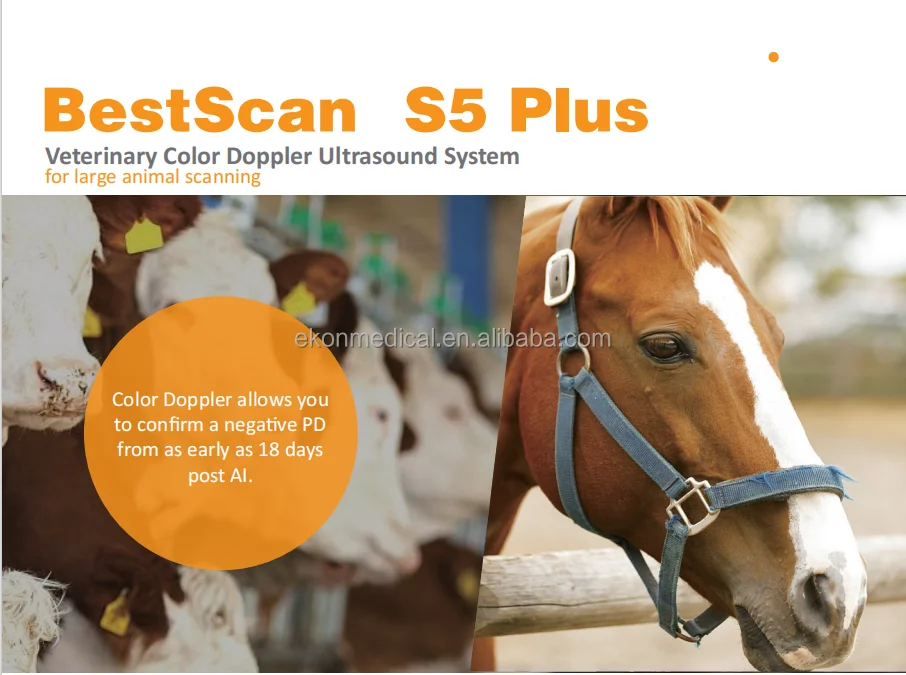 128 элементы высокой чувствительности линейный зонд Ректальный Ветеринарный ультразвуковой сканер для продажи