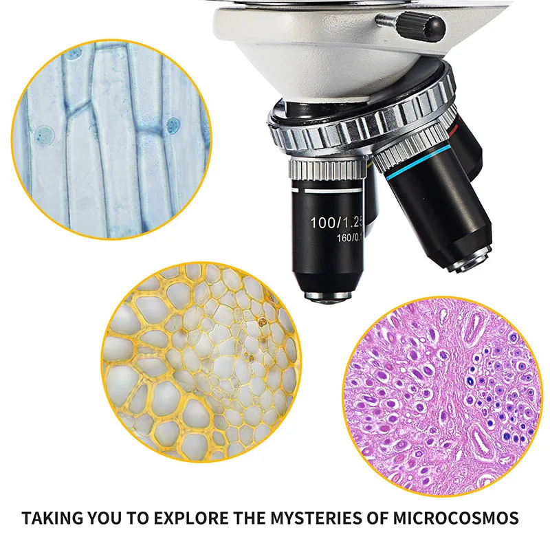 SWIFT-SW350B Wholesale Malaria Microscopy Rotatable Microscope Binocular  Microscopes 2500X Biological Microscopes Compound