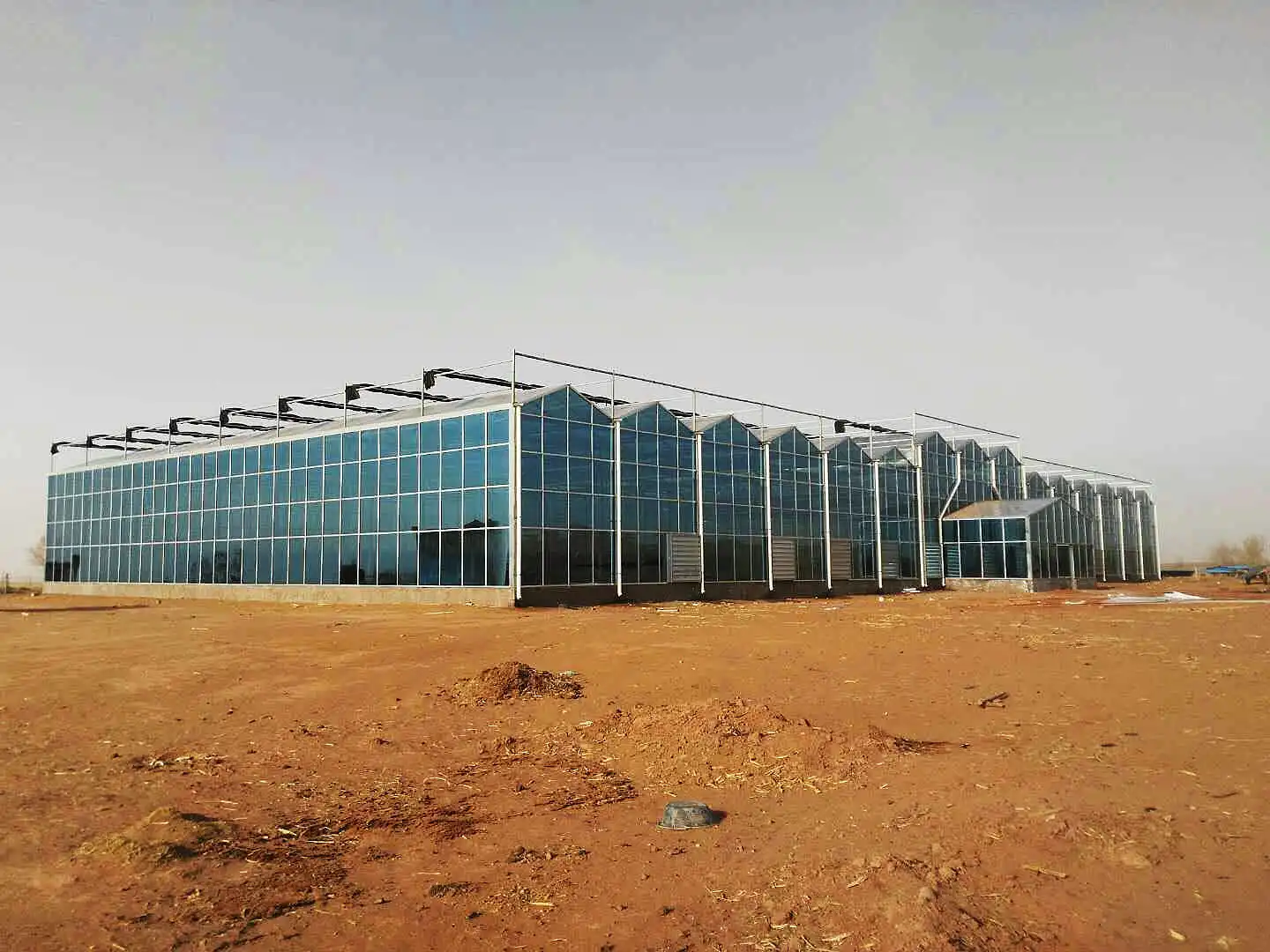 Multi-span venlo greenhouse hydroponic growing systems