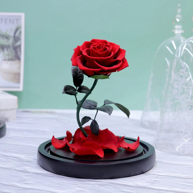 Factory supply enhanced rose beauty and the beast rose in glass dome best price