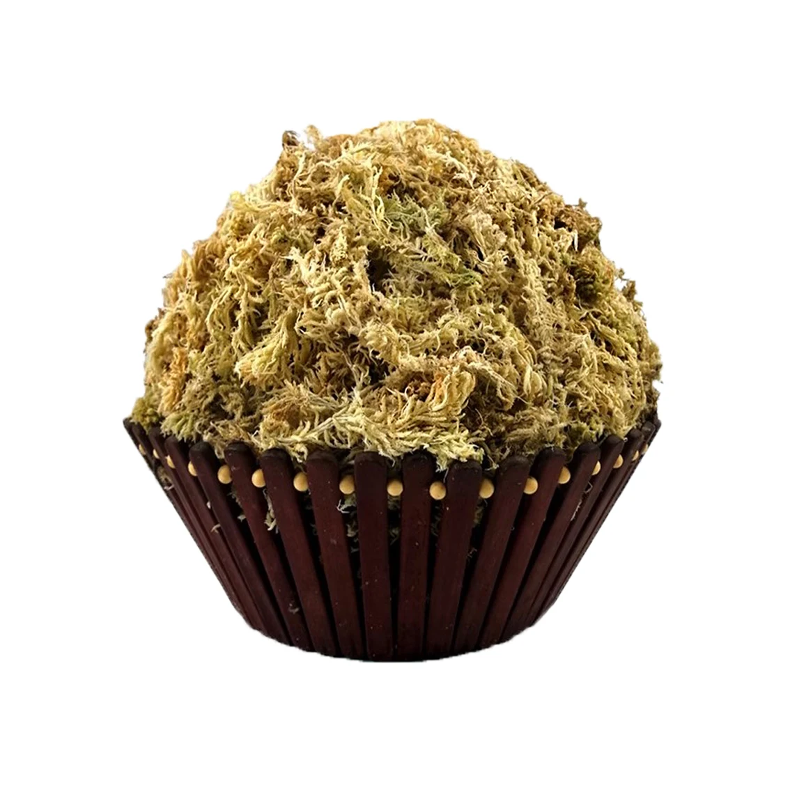 Chilean sphagnum moss long fiber sphagnum peat moss buy moss sphagnum