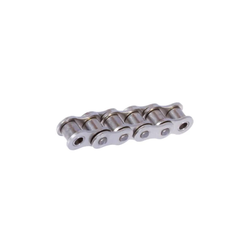 High Quality SS304 Stainless Steel Roller Chains Transmission 12B-2  For Food Processing