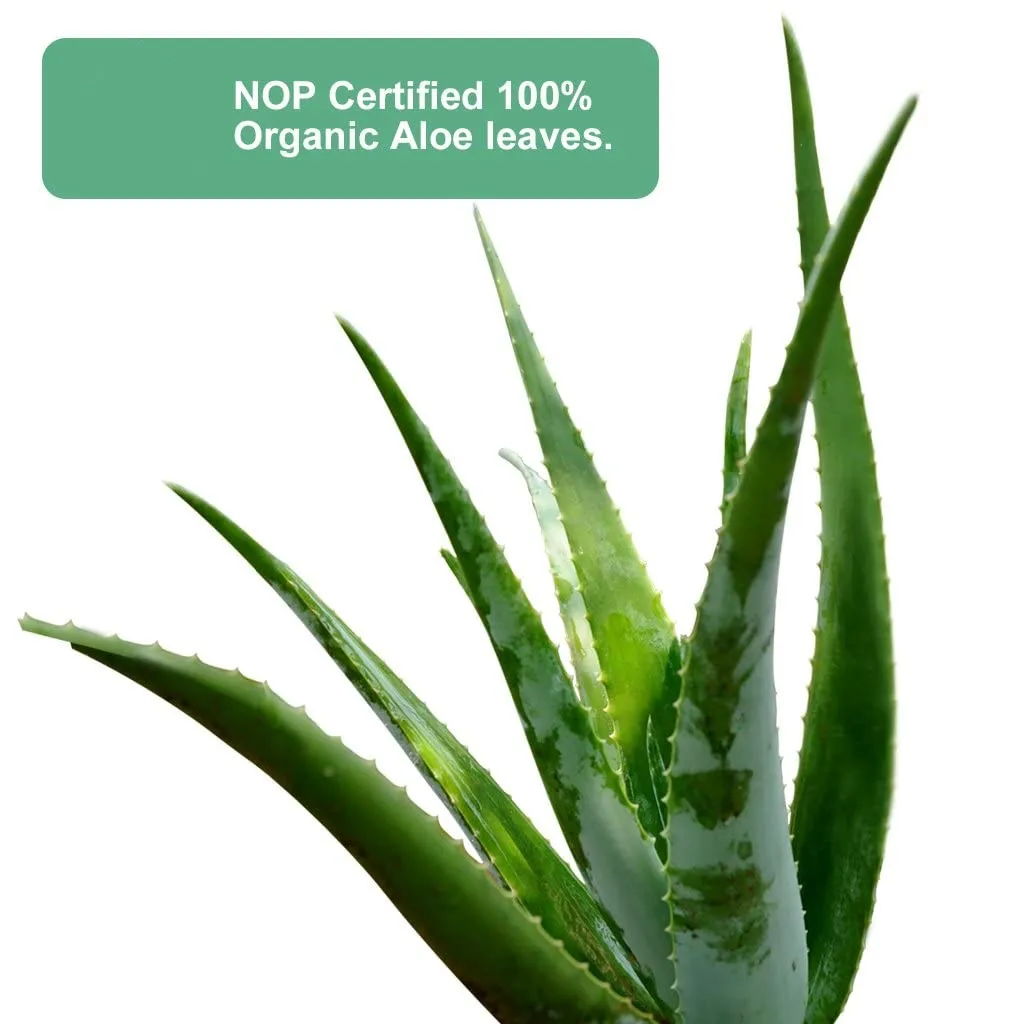 Private Label Dry Skin Hydrating 96% Pure Aloe Vera Soothing Gel for Skin
