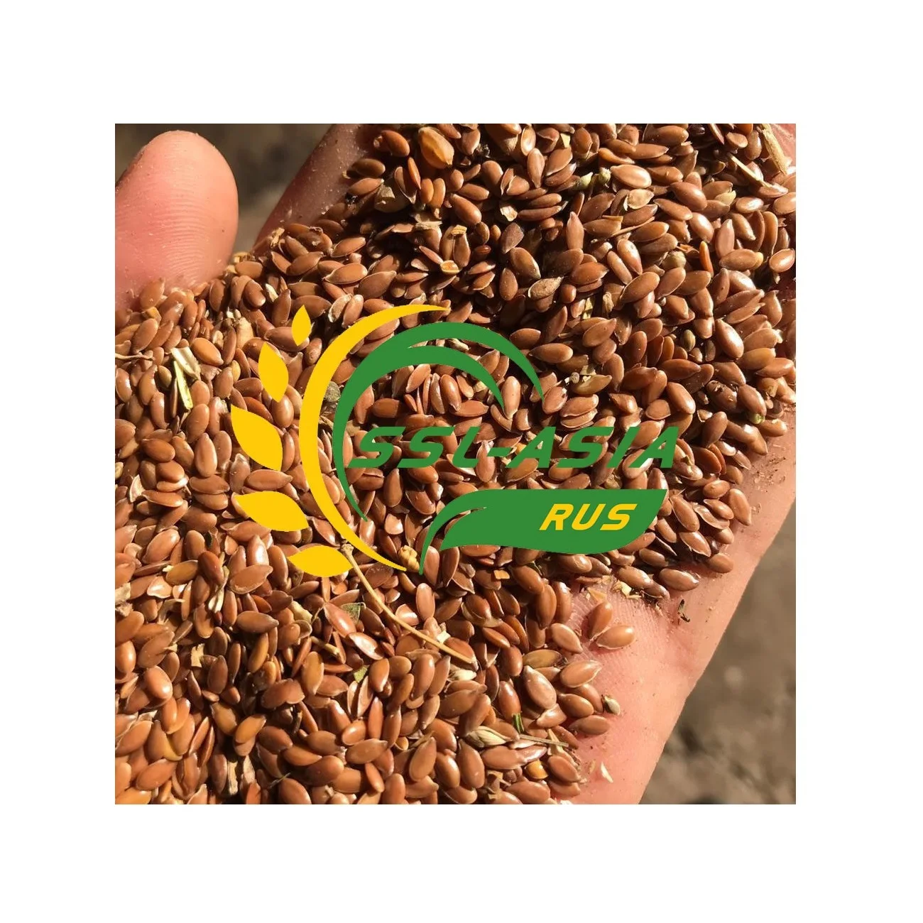 Оптовая продажа, семена льна без ГМО