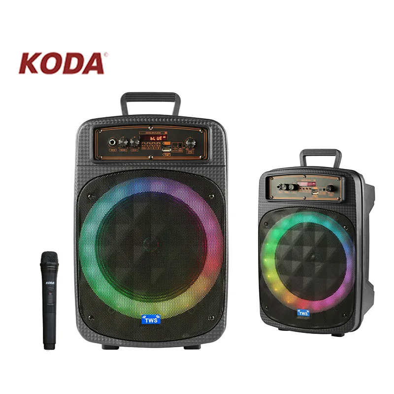 2020 Factory hotsale  cheap good quality plastic portable speaker trolley with wired mic outdoor speaker party