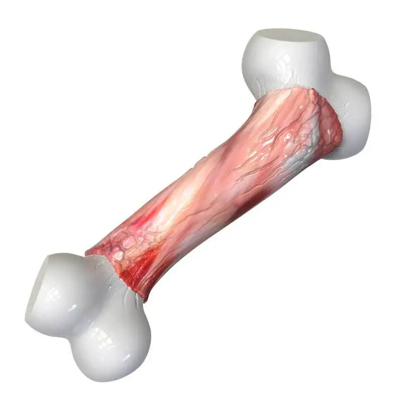 Dog Toothbrush Stick durable bone toys dog chew Bones for Aggressive Chewers Large Breed