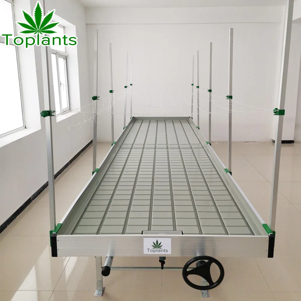 greenhouse hydroponic Plant nursery flood tray hydroponic grow agricultural growing equipment