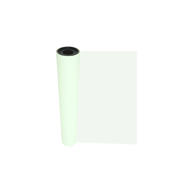 Goosam New Arrival Heat Transfer Luminous DTF Film 30cm 60cm 100m Roll Glow In The Dark DTF PET Film For Shoes T Shirt Printing