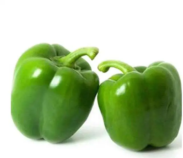 
2019 high yield sweet bell pepper for open field cultivation for sale 