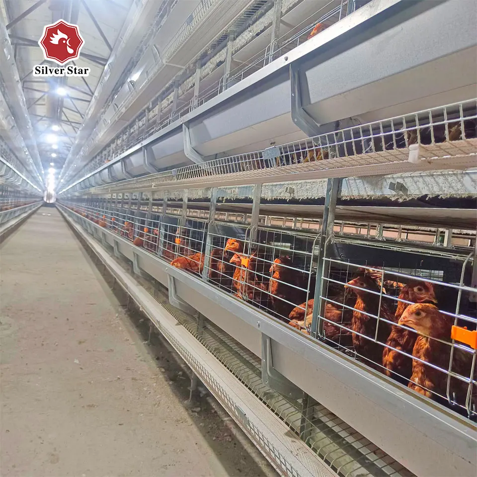 Poultry Farm Equipment Layer Cage Automatic H Type Battery Chicken Cages Egg Layer Cages