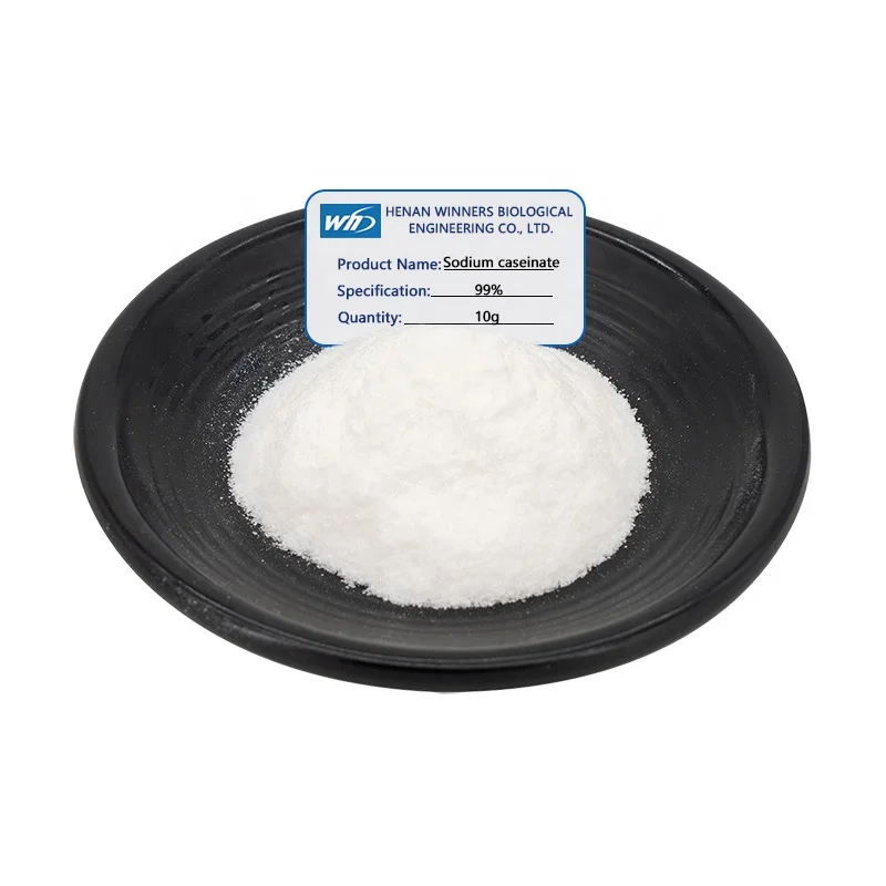 Casein Factory Supply Bulk 99% Sodium Caseinate Price CAS 9005-46-3