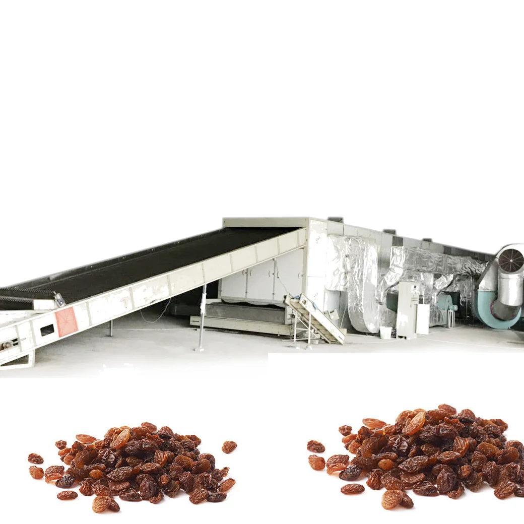 500-1500kg/h stainless steel  raisin  drying machine  with  continuous belt grape dryer machine for industrial fruits dehydrator
