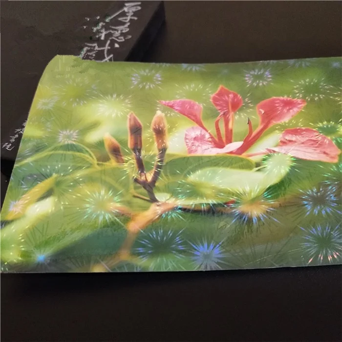 Transparent Holographic Cold Laminating Film Holographic Laminate Overlay Adhesive Film