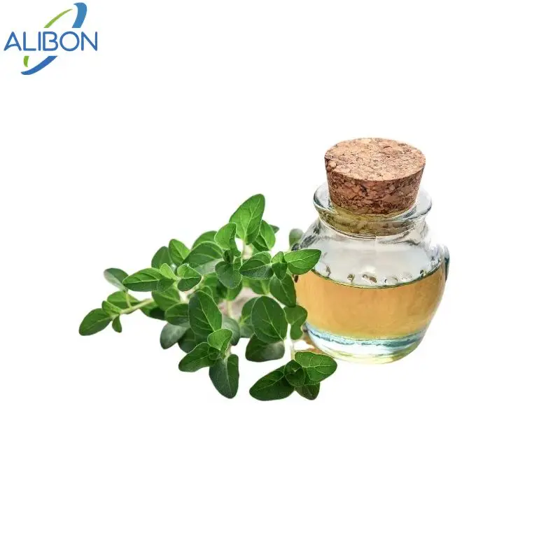Wholesale Organic Oregano Oil 100% Pure Natura oregano essential oil