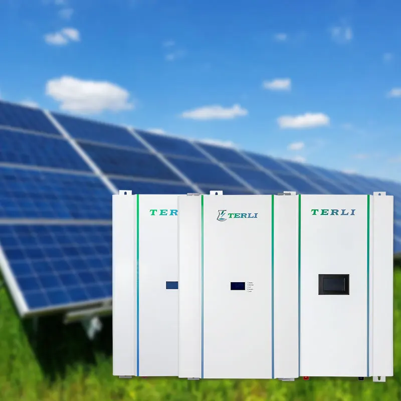 Terli 24v 48V 200ah Lithium Lifepo4 50ah Wall-mounted Solar Lithium Batteries With Patented Technologies