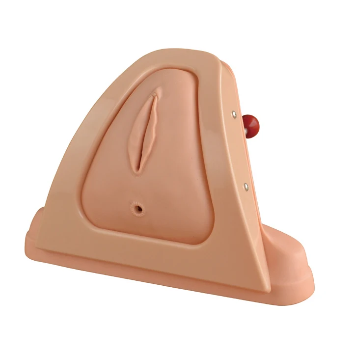 Gelsonlab HSBMY-070 промежности для резки и наложения швов тренажер