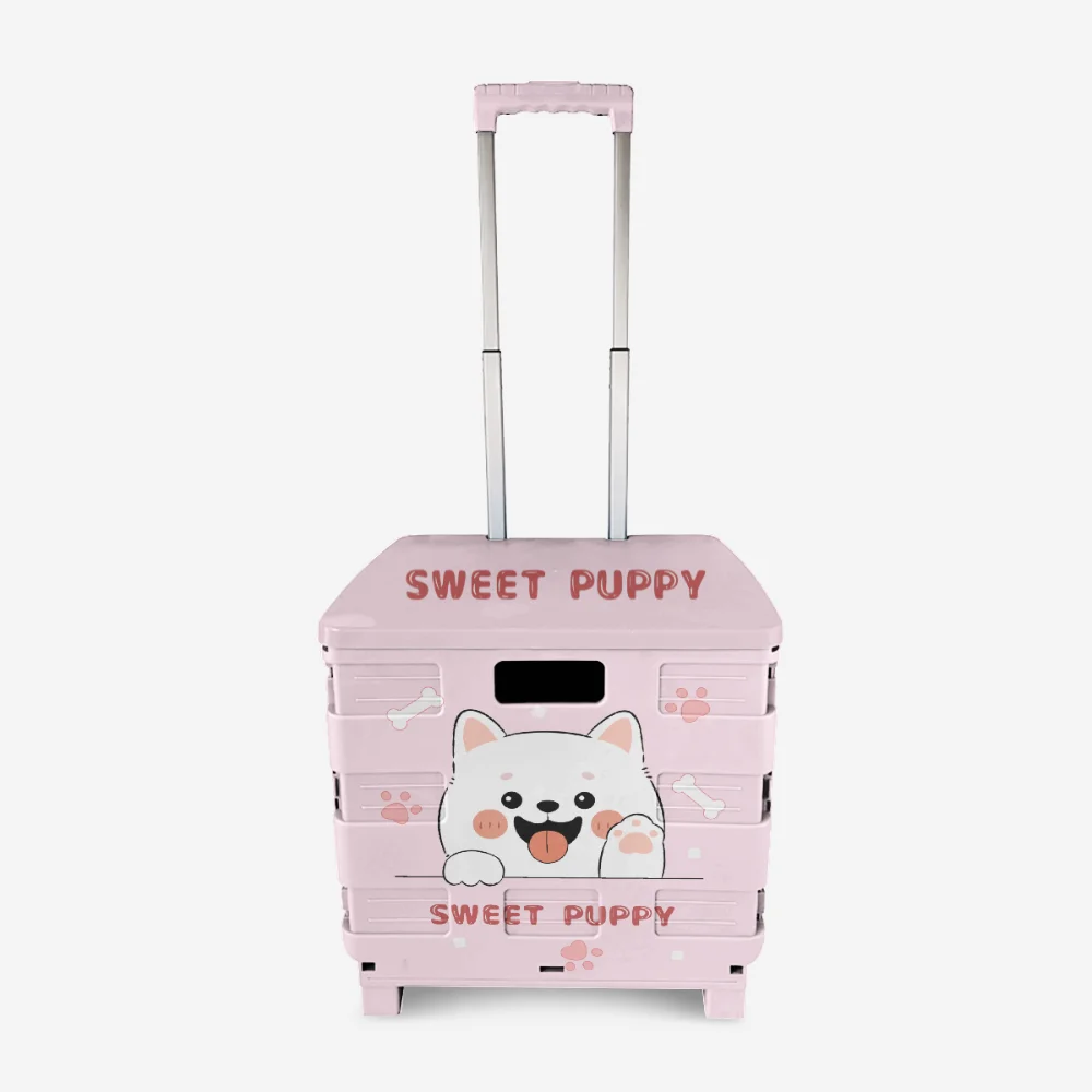 Hot Seller PP Folding Shopping Trolley Portable Plastic Trolley Bag with Steel Telescopic Handle for Supermarket Use