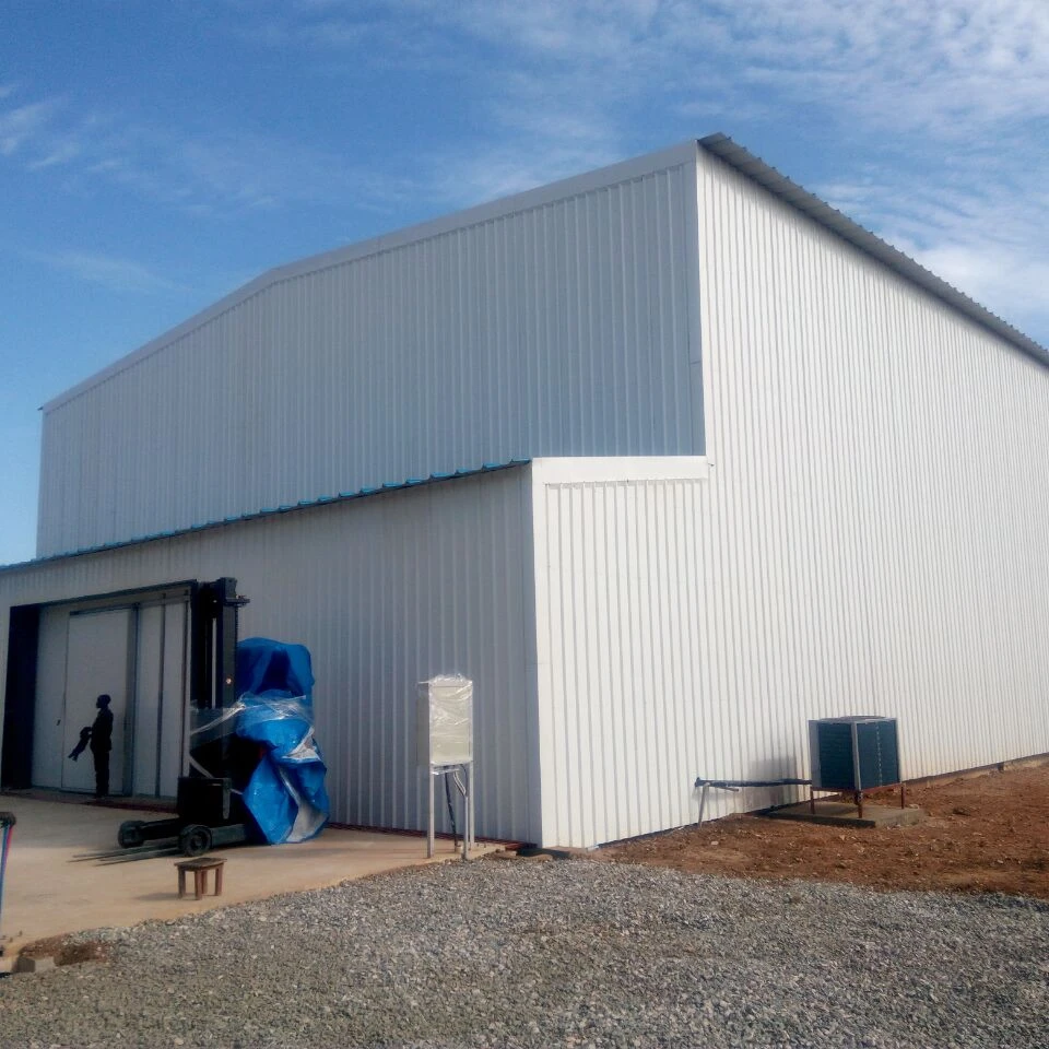 Steel Structure Warehouse Building Design Cold Storage Room Warehouse