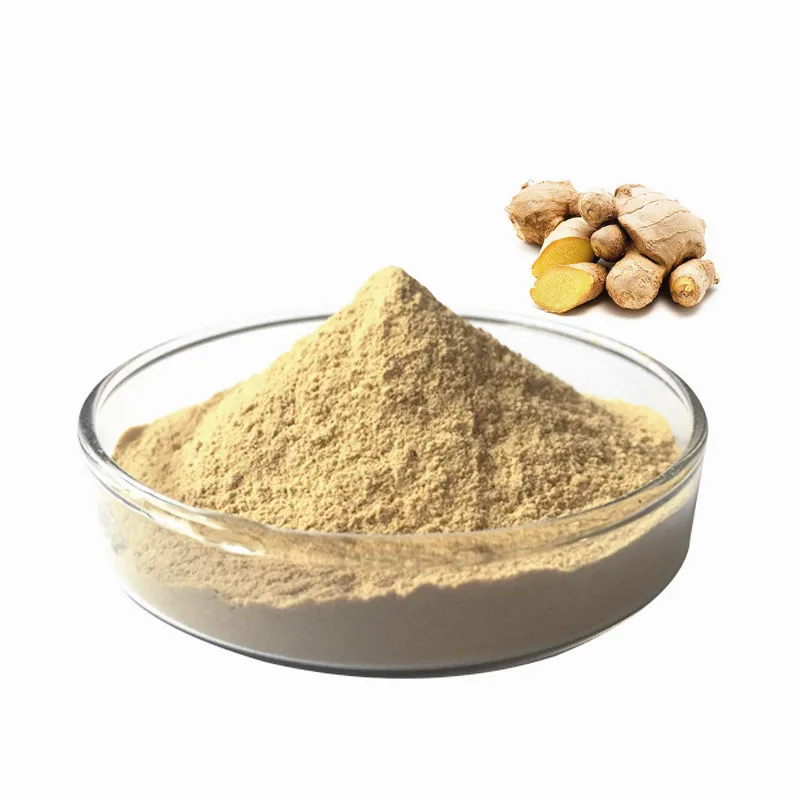 Factory direct supply ginger powder water soluble ginger extract powder 10%