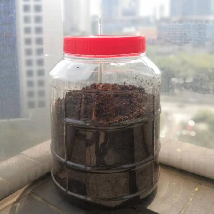 [Trending] 1KG Oil Perfume Aloeswood Woodust 100% Handmade Al-Imarat Oudh Scented Bakhoor(ROUND/BALL TYPE) Fragrant