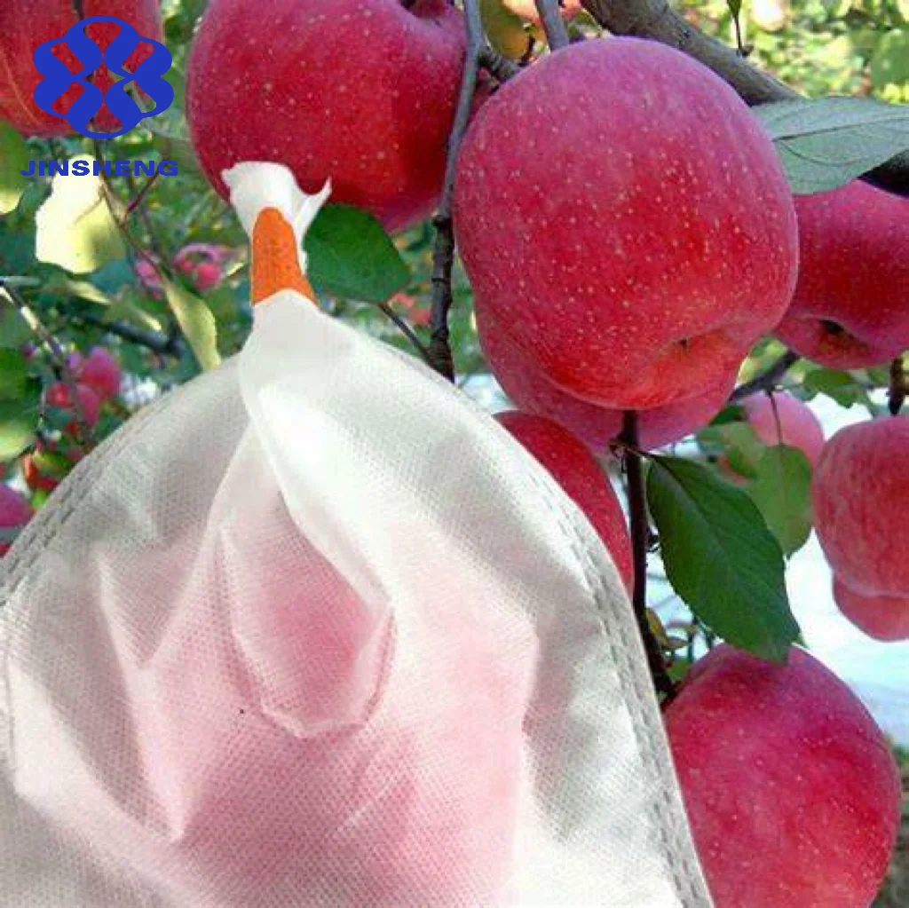 Breathable Eco-friendly PP Raw Material Non-woven Fabric Rolls For Fruit Protection Bags