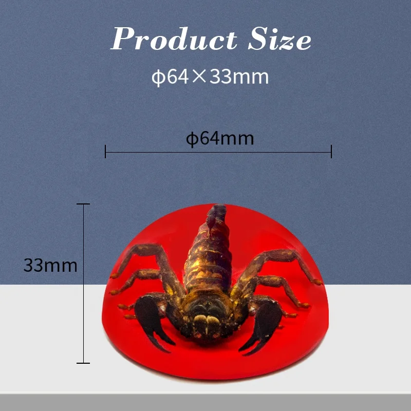 natural real black scorpion red base clear resin dome ornaments custom optional insect animals epoxy resin crafts sculpture arts