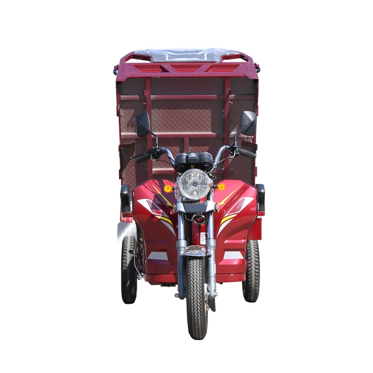 The ordinary adult 3 wheel tricycle triciclo a gasolina fuel tricycles motor