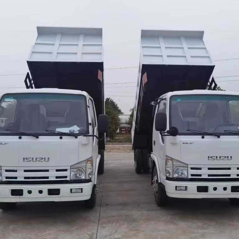 Isuzu 5 Ton Mini Lorry Truck 6 Wheeler Diesel 4x2/Euro2 4x4 Manual 150-250hp Light Truck Euro 2 New Condition Used Cargo Van