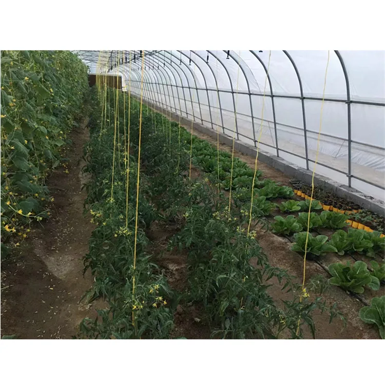
Skyplant Galvanized steel Frame Single span PE Film greenhouse for Agriculture Low cost Tunnel greenhouse for flowers plant 
