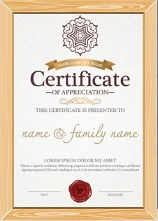 pp flame retardant  High performance Eco PP fireproof powdered with Self-extinguishing