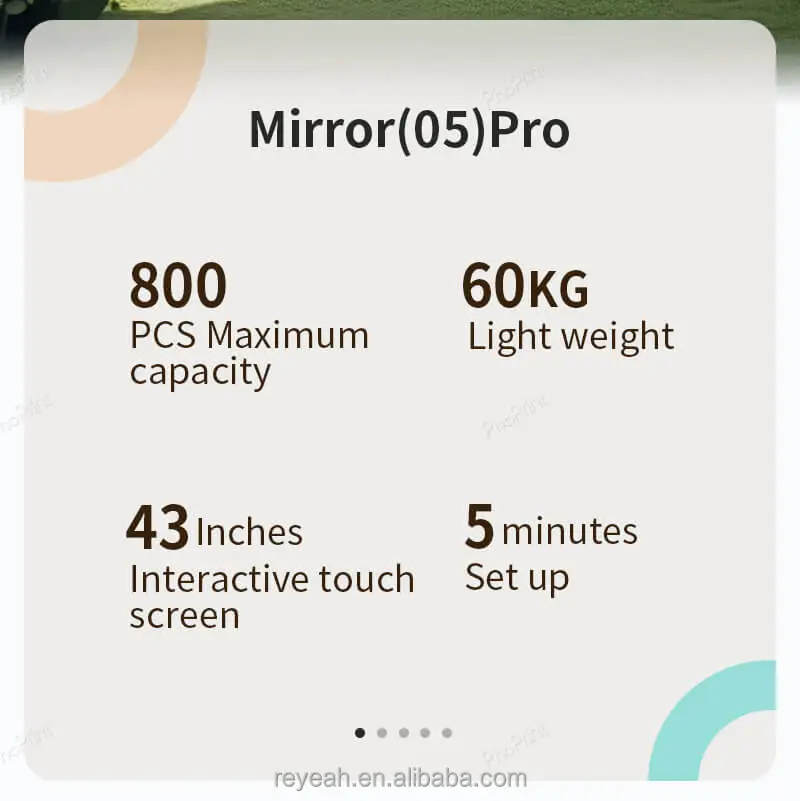 Mirror(05)Pro-_02.jpg