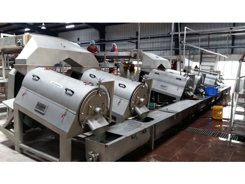 Mango processing plant