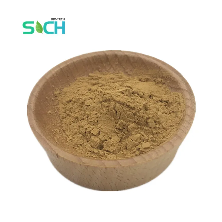 Supply Wholesale Bulk Pure Natural Szechwan Lovage Extract Powder Ligusticum Chuanxiong Extract Powder
